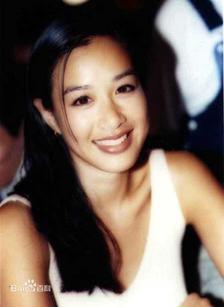 精选钟丽缇(Christy Chung)图片