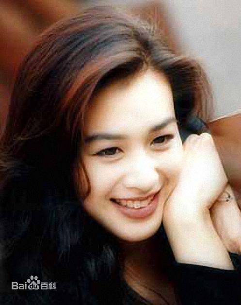 精选钟丽缇(Christy Chung)图片