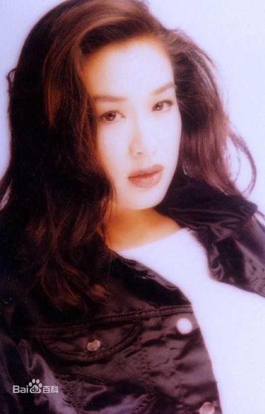 精选钟丽缇(Christy Chung)图片