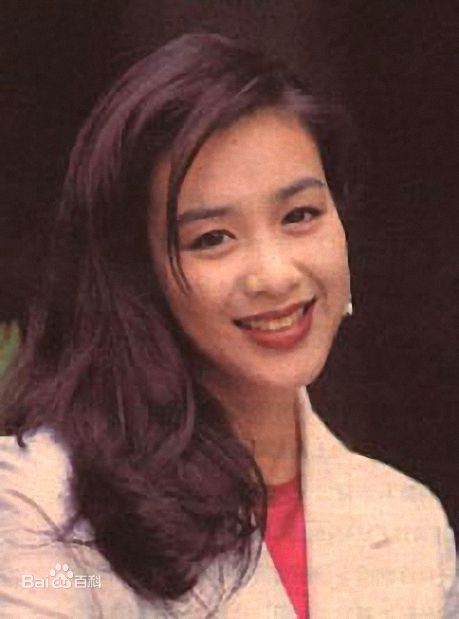 精选钟丽缇(Christy Chung)图片