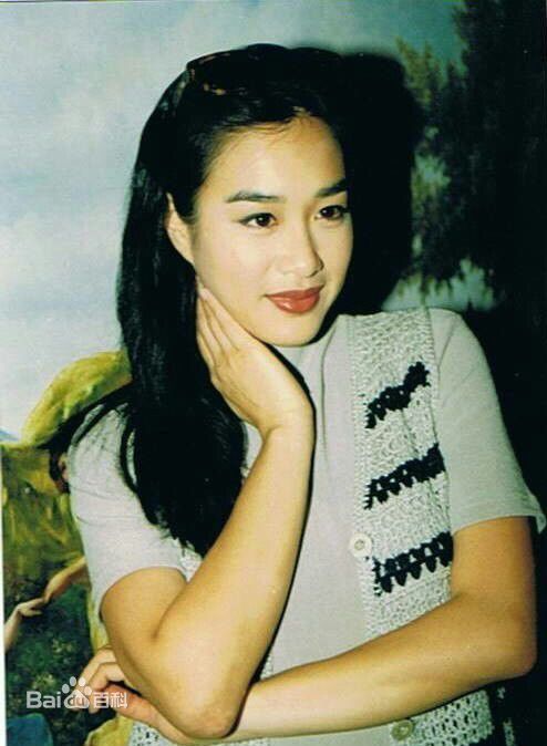 精选钟丽缇(Christy Chung)图片