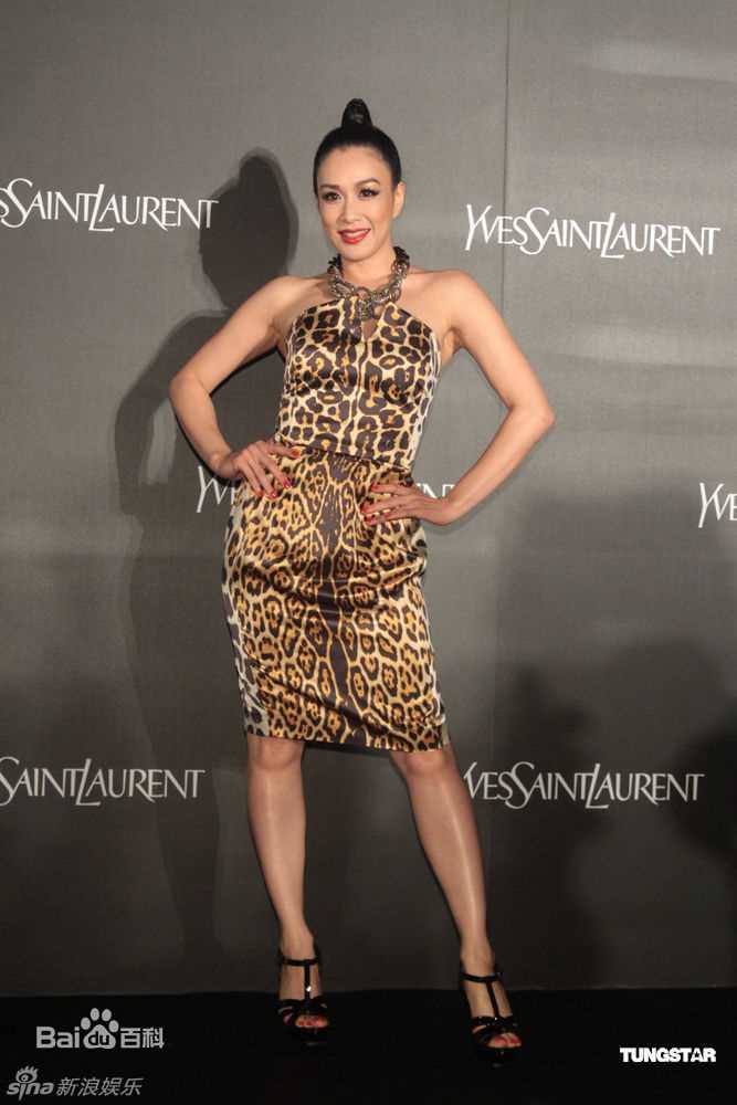 高清钟丽缇(Christy Chung)精彩图册