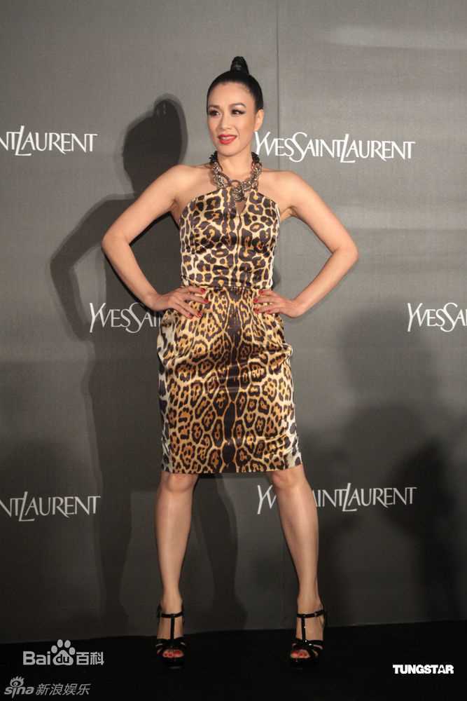 高清钟丽缇(Christy Chung)精彩图册