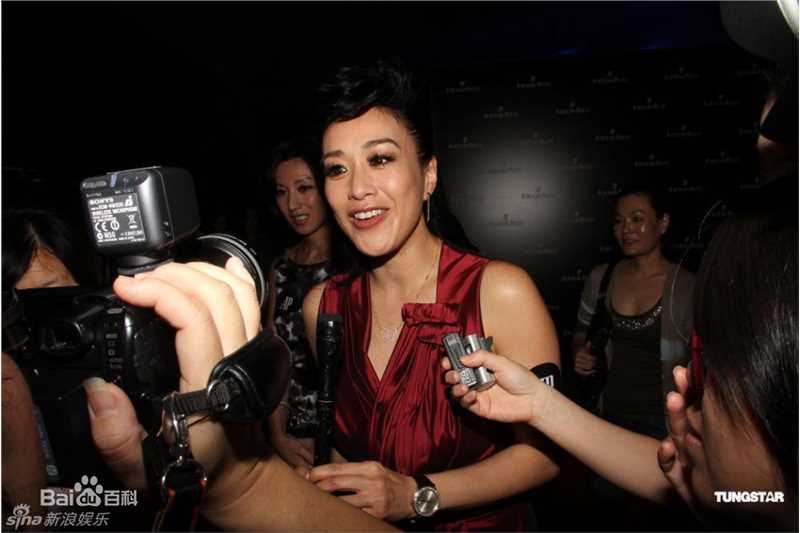 高清钟丽缇(Christy Chung)精彩图册