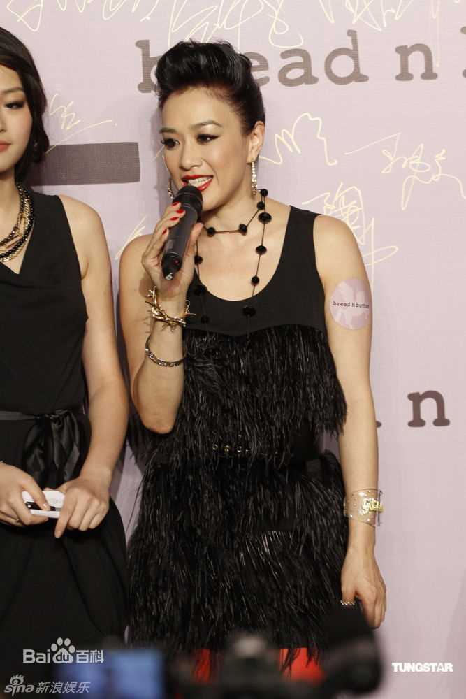 最全钟丽缇(Christy Chung)精彩图册