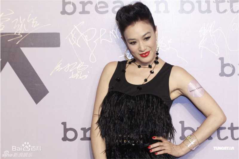 最全钟丽缇(Christy Chung)精彩图册