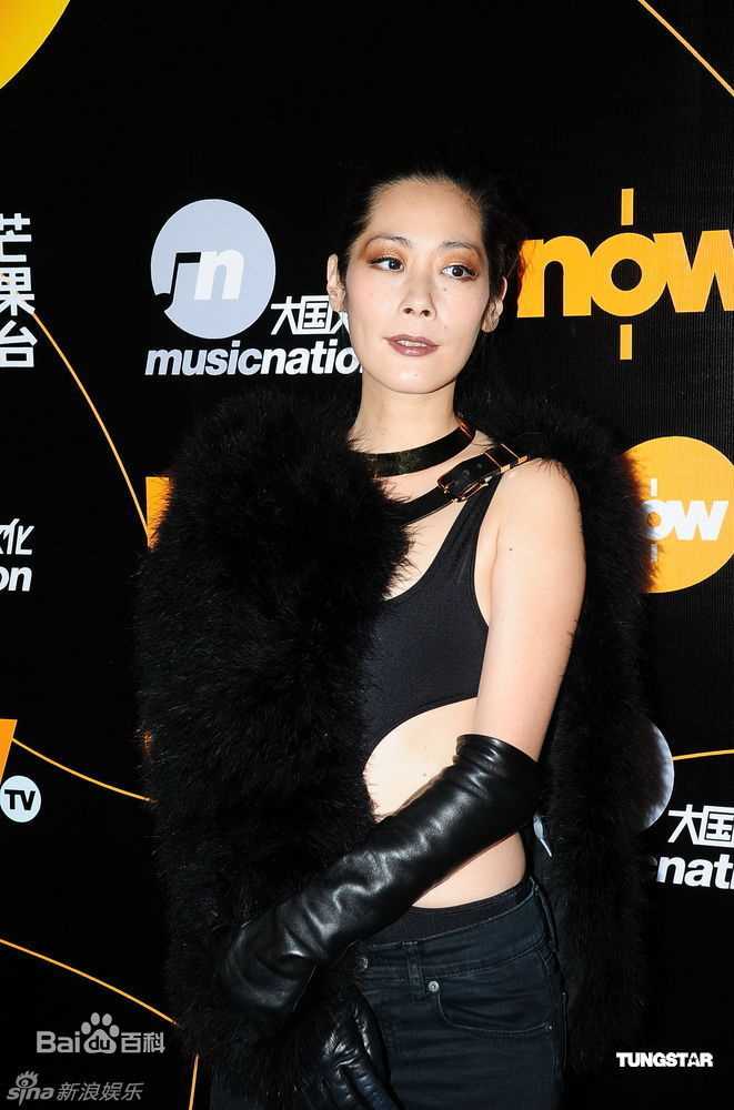 最优质关淑怡(Shirley Kwan)精彩图册