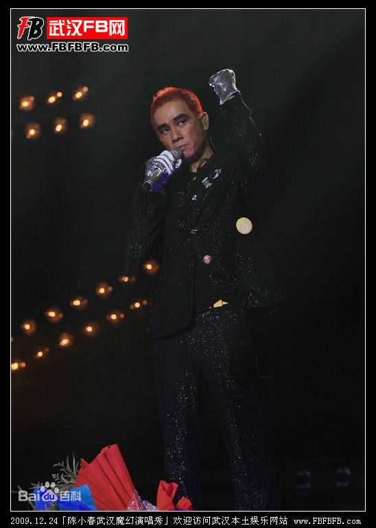 陈小春(Jordan chan)武汉魔幻演唱秀图册