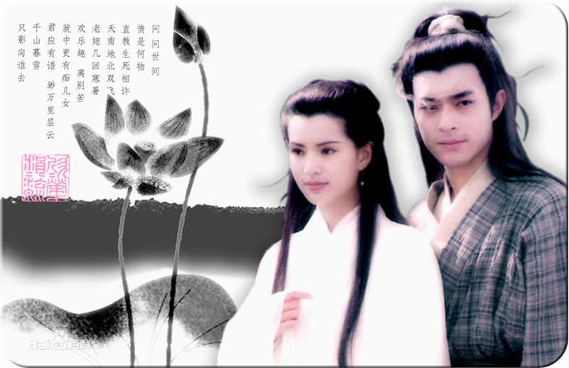 最全李若彤(Carman Lee)在1995年《神雕侠侣》小龙女中的相册