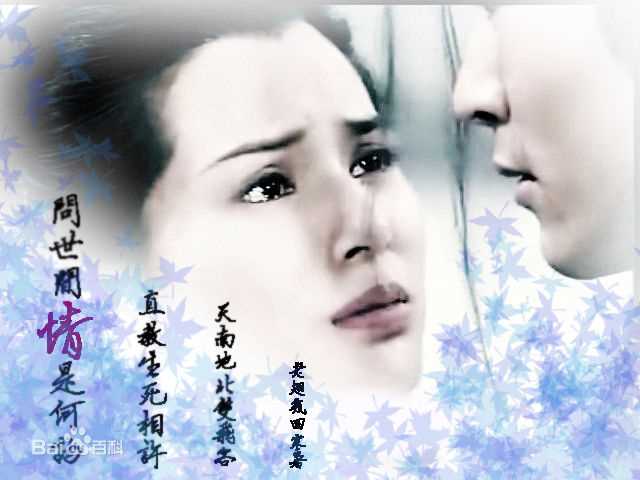 最全李若彤(Carman Lee)在1995年《神雕侠侣》小龙女中的相册