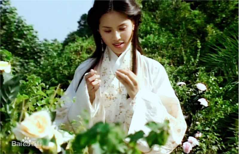 精选李若彤(Carman Lee)在1996年《天龙八部》王语嫣中的图册