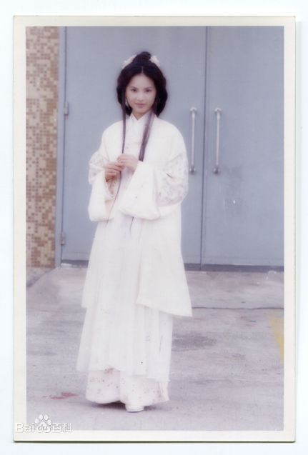 精选李若彤(Carman Lee)在1996年《天龙八部》王语嫣中的图册