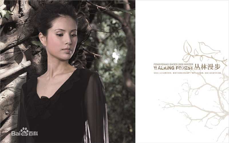 李若彤(Carman Lee)广告代言性感图片图集