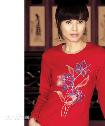 李若彤(Carman Lee)广告代言（2）图片图集