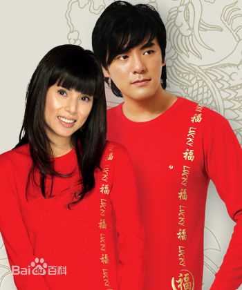 李若彤(Carman Lee)广告代言（2）图片图集