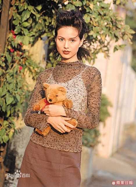 最优质李若彤(Carman Lee)精彩图册