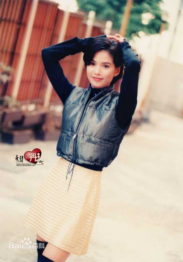 最优质李若彤(Carman Lee)精彩图册