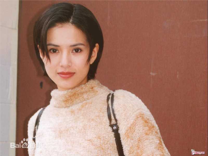 精选李若彤(Carman Lee)精彩图册1