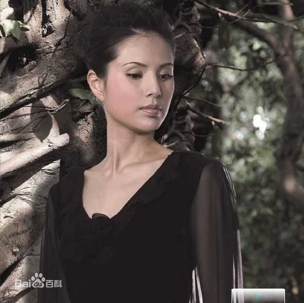 最全李若彤(Carman Lee)精彩图册