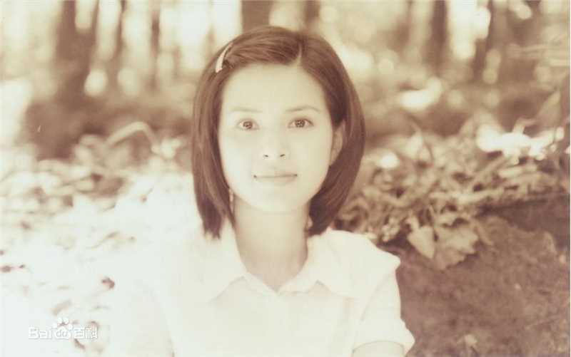 高清李若彤(Carman Lee)精彩图册