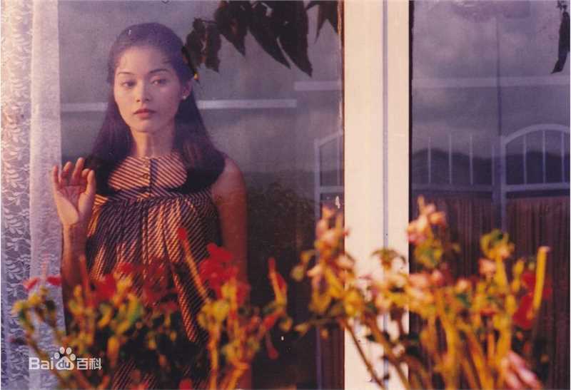 最新刘锦玲在电影《天长地久》饰何宝玲中的图集