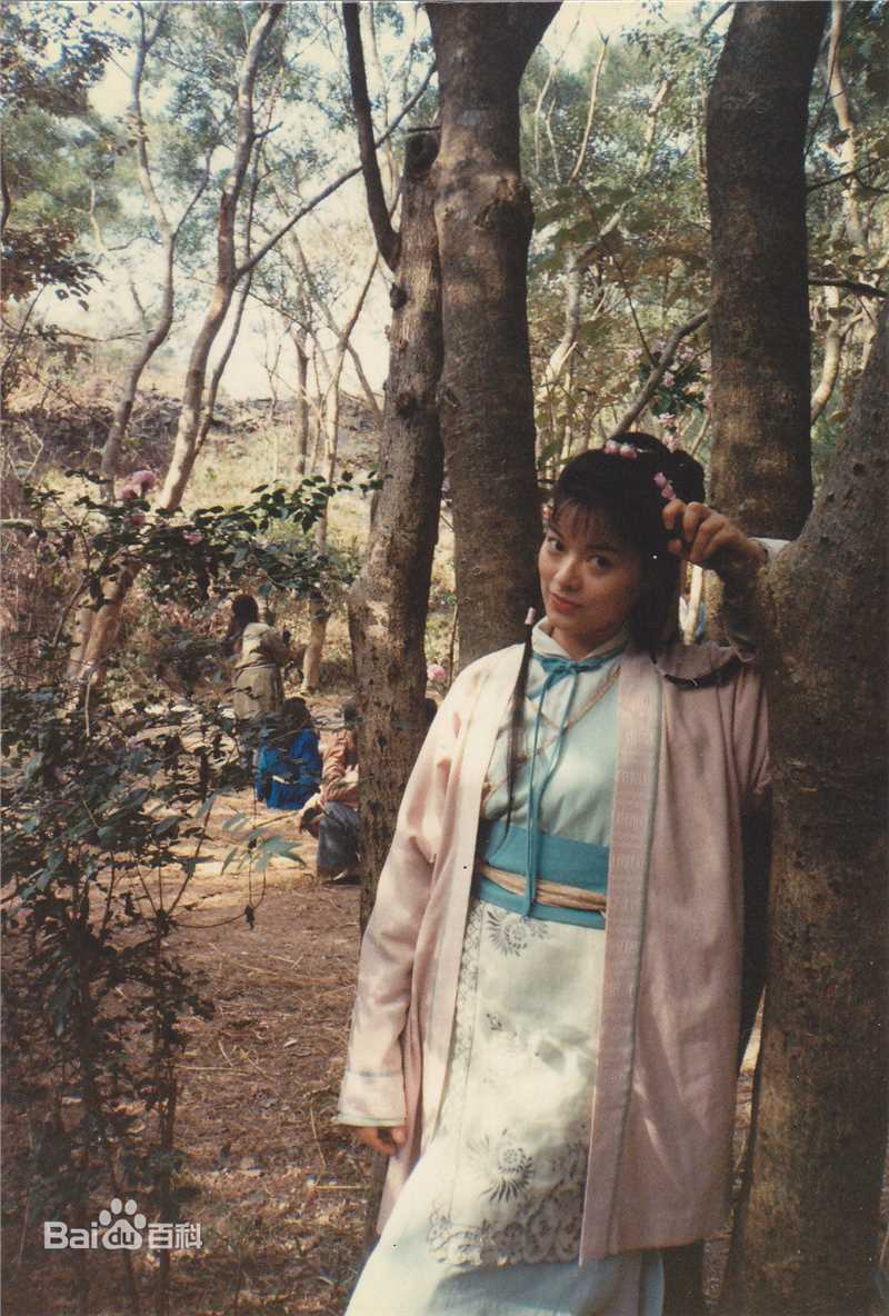 高清刘锦玲在《天龙八部》饰阿朱中的图集