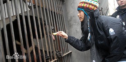 莫文蔚(Karen Mok)担任“拯救黑熊爱心大使”图片图册