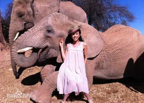 莫文蔚(Karen Mok)精彩图册