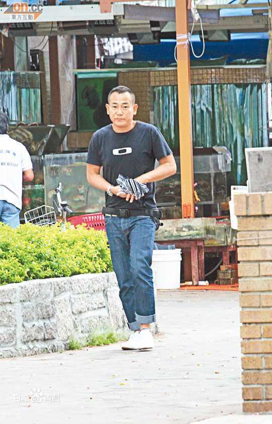 最新林保怡(Bowie Lam Bo Yee)精彩图册