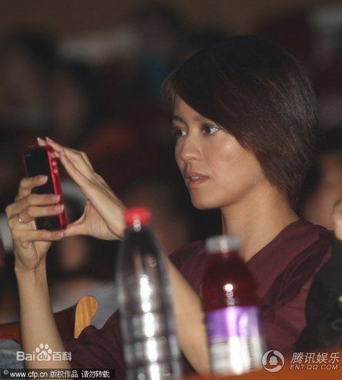 精选梁咏琪(GiGi ，Leung Wing Kei)精彩图册