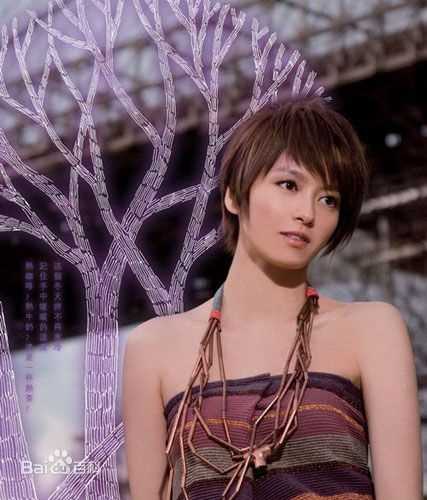 精选梁咏琪(GiGi ，Leung Wing Kei)精彩图册