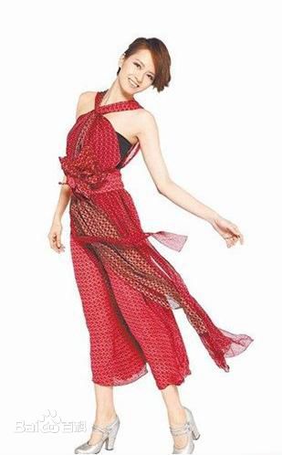 精选梁咏琪(GiGi ，Leung Wing Kei)精彩图册