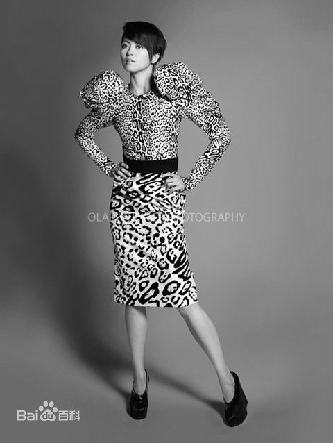 最优质梁咏琪(GiGi ，Leung Wing Kei)精彩图册