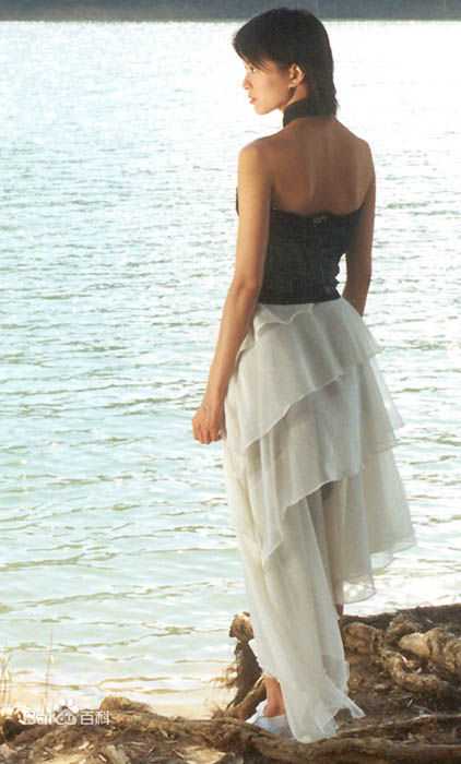 最优质梁咏琪(GiGi ，Leung Wing Kei)精彩图册