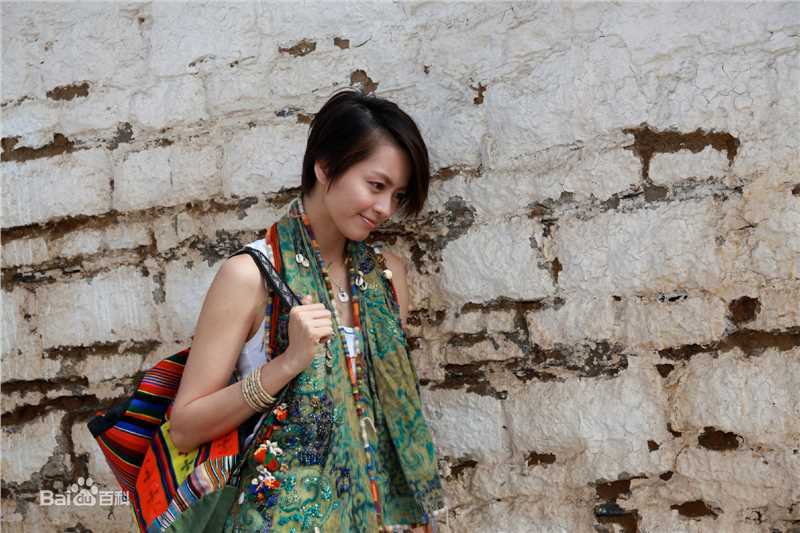 最优质梁咏琪(GiGi ，Leung Wing Kei)精彩图册