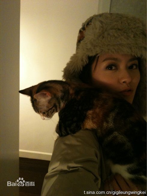 最优质梁咏琪(GiGi ，Leung Wing Kei)精彩图册