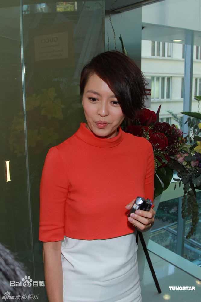 梁咏琪(GiGi ，Leung Wing Kei)精彩图册