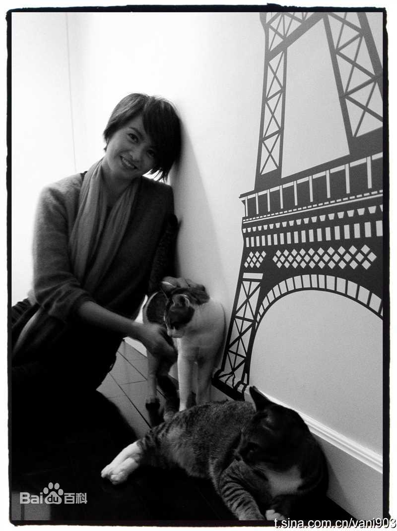 最优质梁咏琪(GiGi ，Leung Wing Kei)精彩图册