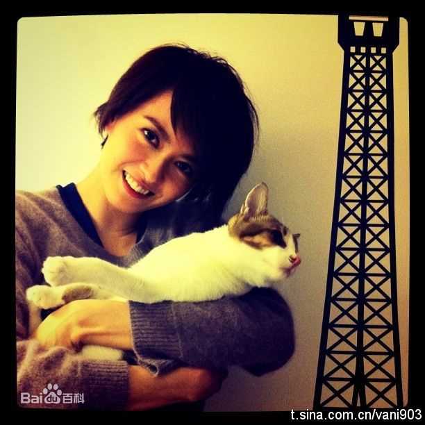 精选梁咏琪(GiGi ，Leung Wing Kei)精彩图册