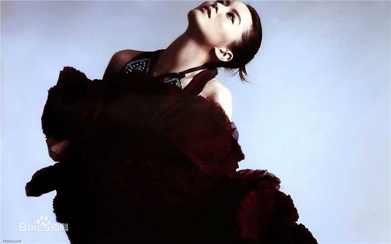 精选梁咏琪(GiGi ，Leung Wing Kei)精彩图册