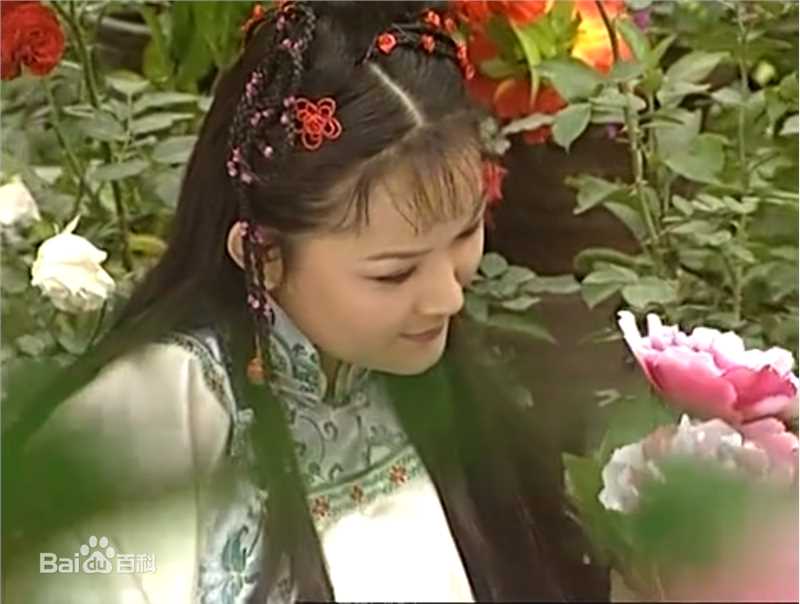 张晶晶(Zhang Jingjing)康熙王朝——红玉性感图片壁纸