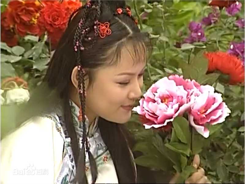 张晶晶(Zhang Jingjing)康熙王朝——红玉性感图片壁纸