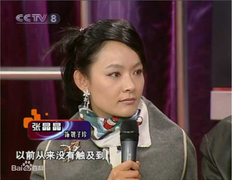 张晶晶(Zhang Jingjing)电视访谈图片图集