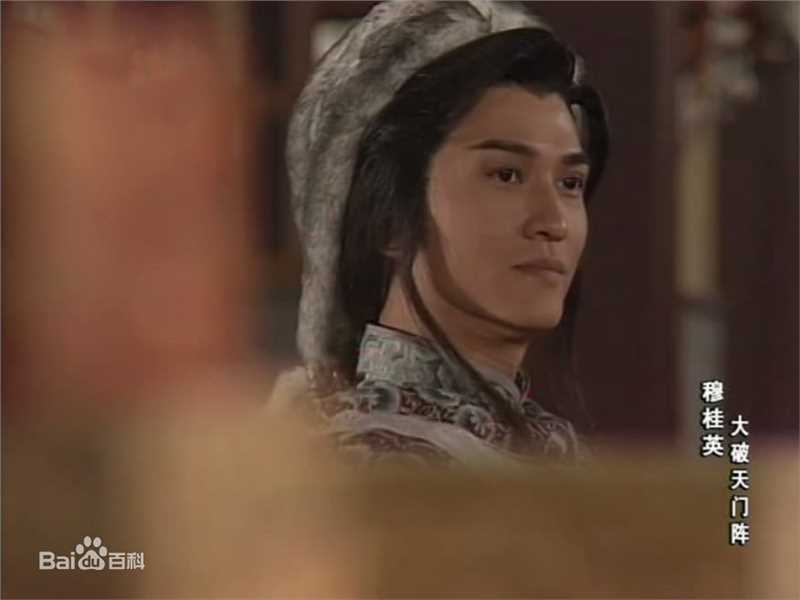 林韦辰(Gilbert Lam)穆桂英大破天门阵图册图册