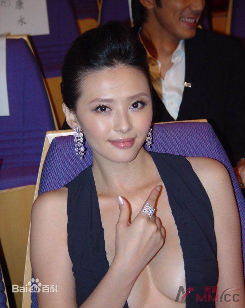 萧淑慎2005年金钟奖最全剧照