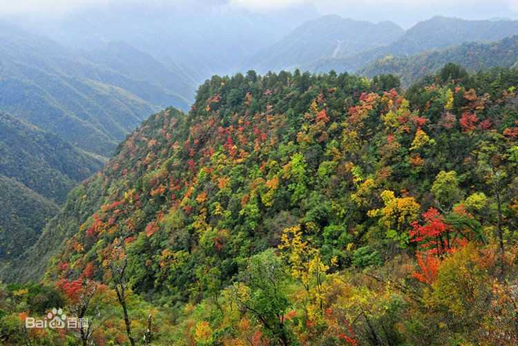 最优质大巴山脉(Ta-pa Mountains亦作Ta-pa Shan或Daba Shan)生活照