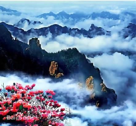 最优质大巴山脉(Ta-pa Mountains亦作Ta-pa Shan或Daba Shan)生活照