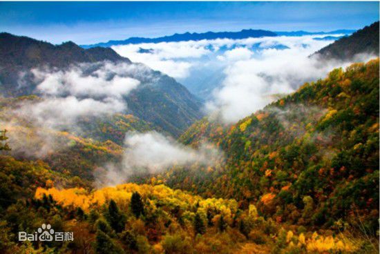 最优质大巴山脉(Ta-pa Mountains亦作Ta-pa Shan或Daba Shan)生活照