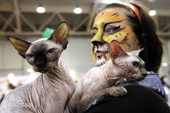 最优质廖安丽生活照