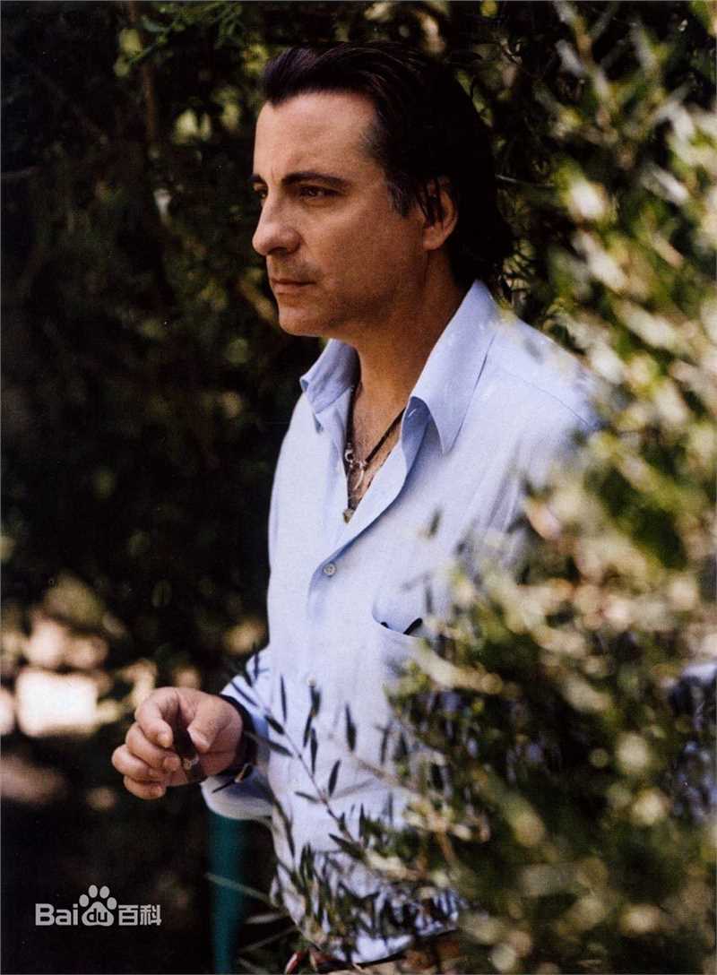 高清安迪·加西亚(Andy Garcia)精彩图册